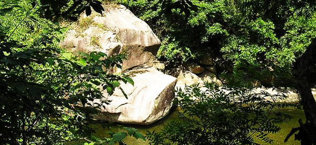 ��?zh��)����L(f��ng)���^(q��)