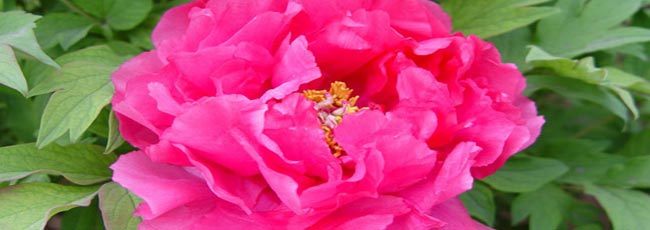 ����ĵ���@