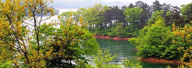 �Ϟ����L�����΅^(q��)