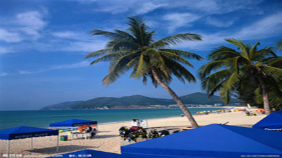 ���������p�w���������Ρ�Ҭ�L(f��ng)��퍡�