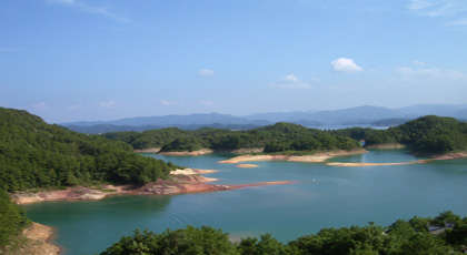 �����B(y��ng)��-ǧ�u�����ݞ��(zh��n)�p�P������